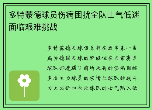 多特蒙德球员伤病困扰全队士气低迷面临艰难挑战